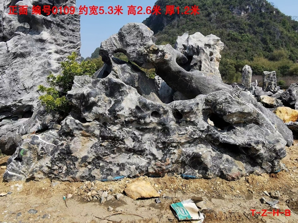 太湖石景观石